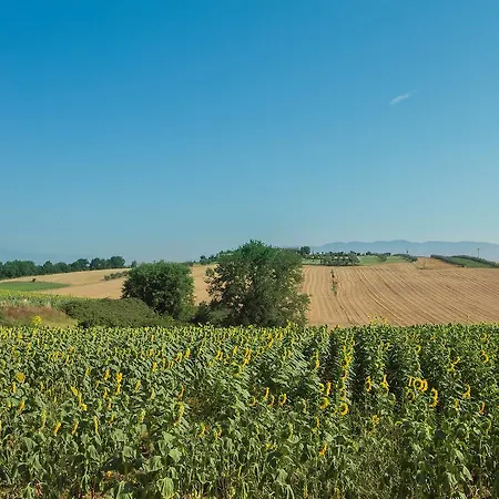 Locazione Turistica Il Falco.1